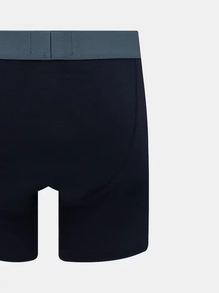 Боксеры Emporio Armani Underwear