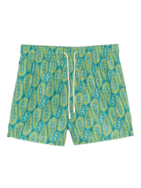 Slip de baie Etro cu model paisley verde