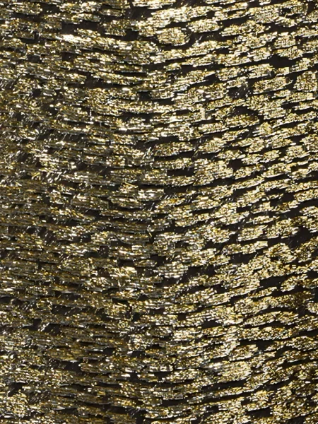 Rochie Roberto Cavalli de costum auriu