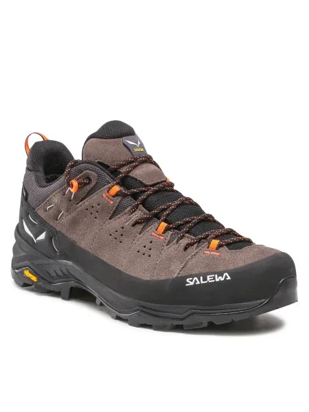 Pánske trekové topánky Salewa Alp Trainer 2 GTX brown hnedá