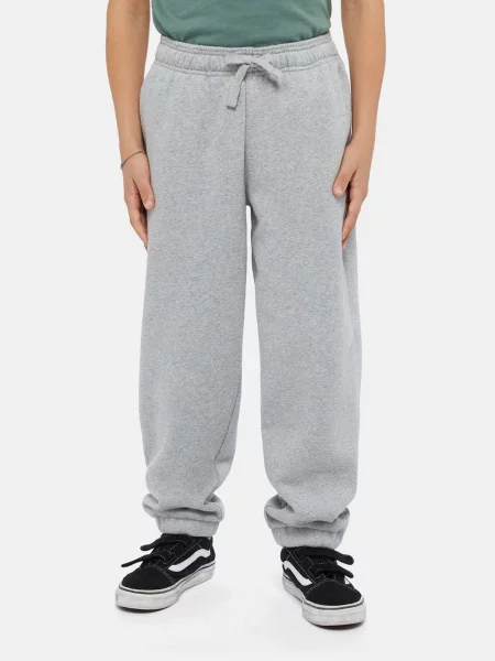 Дитячі Джогери Dickies Mapleton сірий