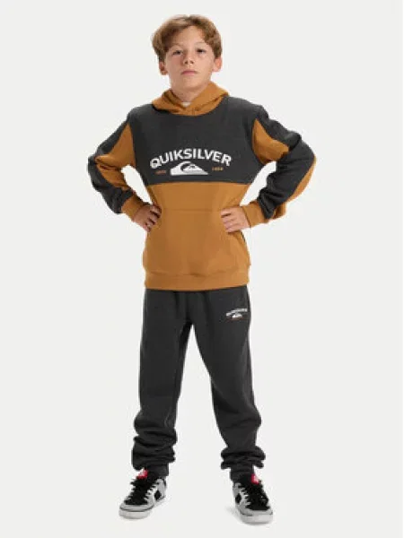 Quiksilver Džemperis Knowledge AreaYouth Spalvota