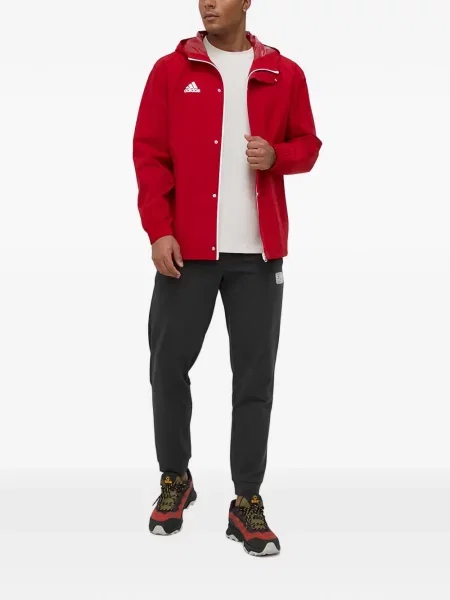 Ριγέ γυμναστήριο σορτς Adidas με σχέδιο μπλε