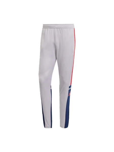 ADIDAS PERFORMANCE Pantaloni sport Squadra bleumarin roșu gri