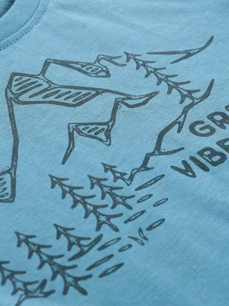 Tricou copii Alpine Pro albastru