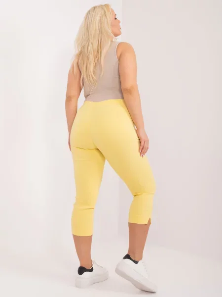 Pantaloni Fashionhunters galben