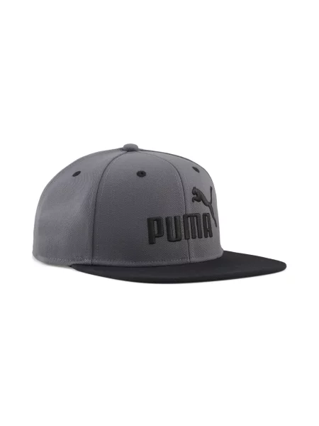 PUMA Czapka z pÅ‚askim daszkiem Essentials z logo Akcesoria OSFA szary