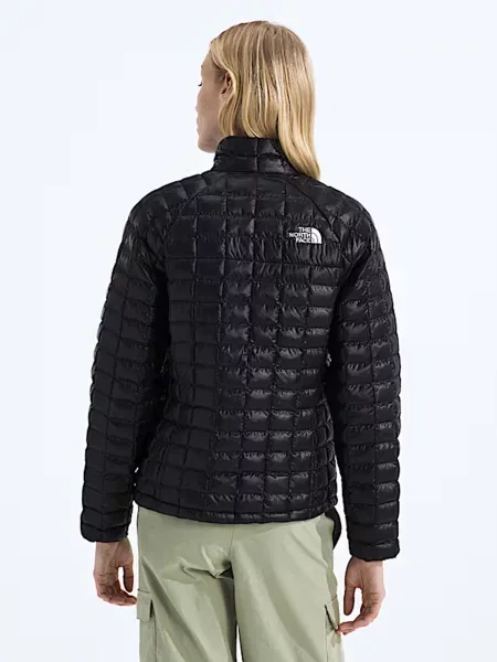 Демисезонная куртка The North Face черная