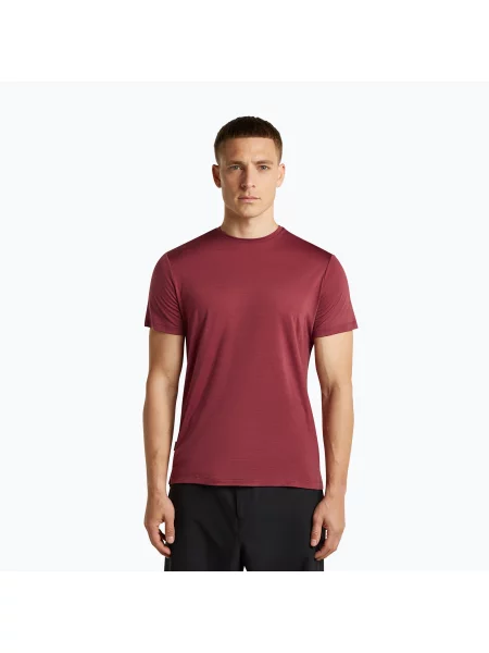 Мъжка тениска за трекинг icebreaker Merino Cool-Lite Sphere III port