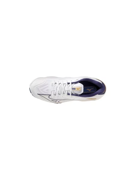 Pantofi Mizuno albastru