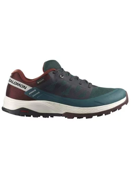 Buty trekkingowe Salomon Outrise Gtx Gore-tex niebieskie