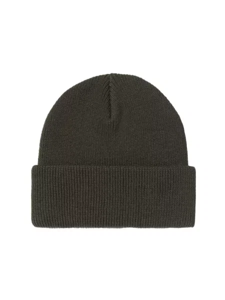 Carhartt Wip Akcesoria Mężczyzna Szary ONE SIZE Ohio Beanie zielona