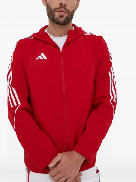 Csíkos tornaterem rövidnadrág Adidas nyomtatás kék