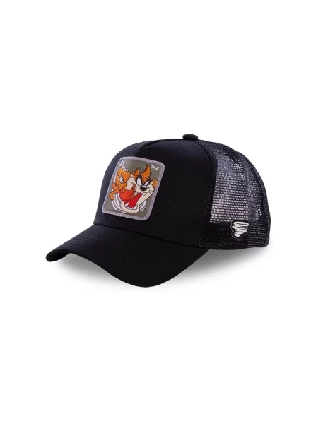 Baseball sapka Capslab szürke