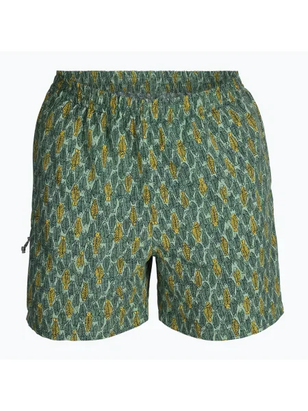 Pantaloni de trekking pentru bărbați Royal Robbins All-In algae flash pt