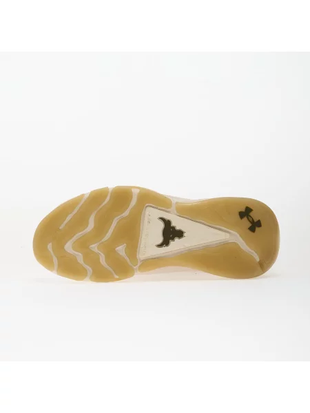 Sneakers Under Armour W Project Rock 8 Brown EUR καφέ