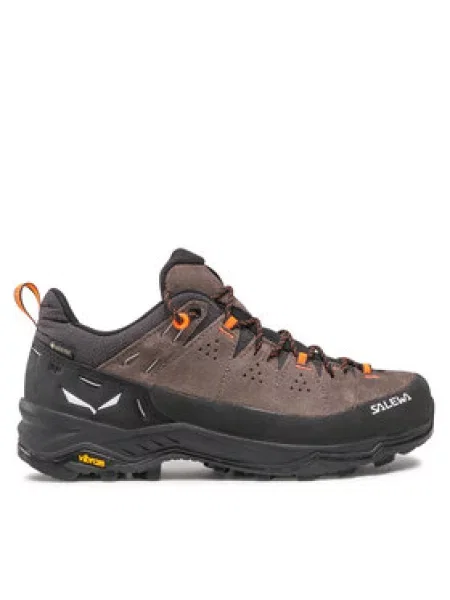 Trekové boty Salewa Alp Trainer 2 GTX brown hnědé
