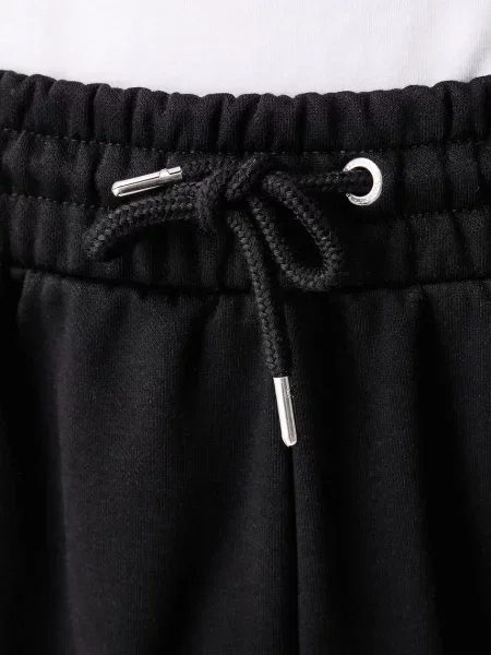 Спортивные штаны The North Face