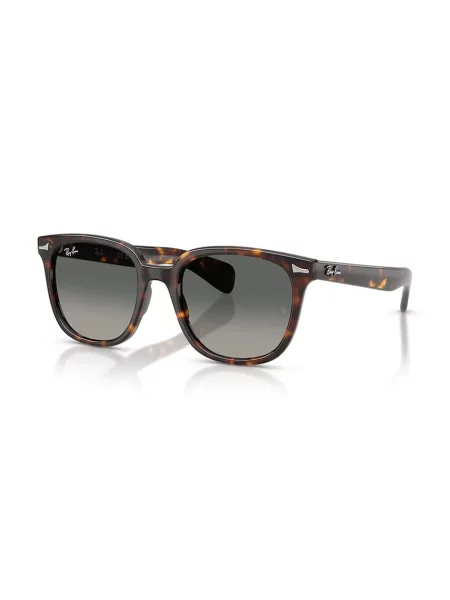 Ray-Ban sončna očala BRUNEL II rjava