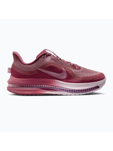Încălțăminte de alergare pentru femei Nike Pegasus Premium pink smoke/light magenta/pink smoke roz