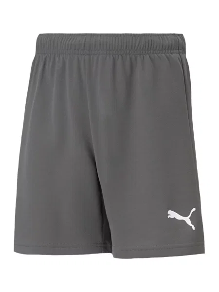 PUMA Pantaloni sport TeamRise gri alb