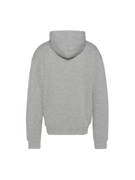 Bluza z kapturem Schott Nyc z kapturem szara