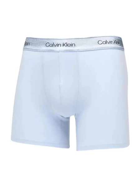 Gaćice Calvin Klein Jeans siva