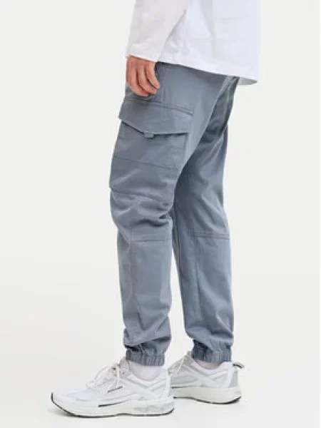 JACK & JONES Laisvo stiliaus kelnės JJIPAUL JJFLAKE dūmų mėlyna