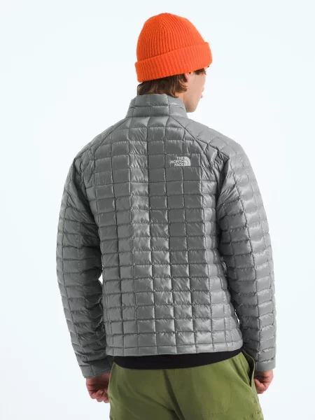 Демисезонная куртка The North Face серая
