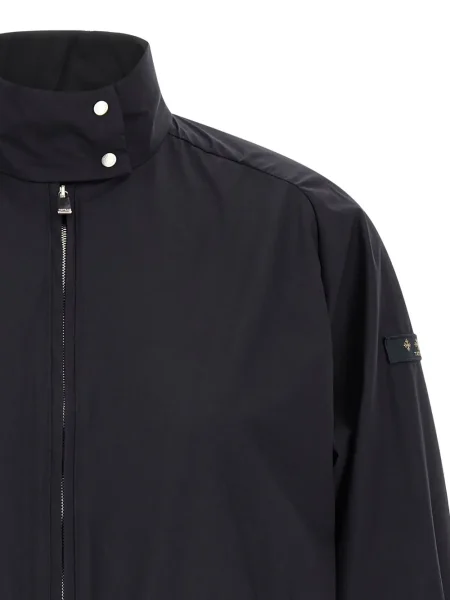 Wiatrówka Tatras niebieska