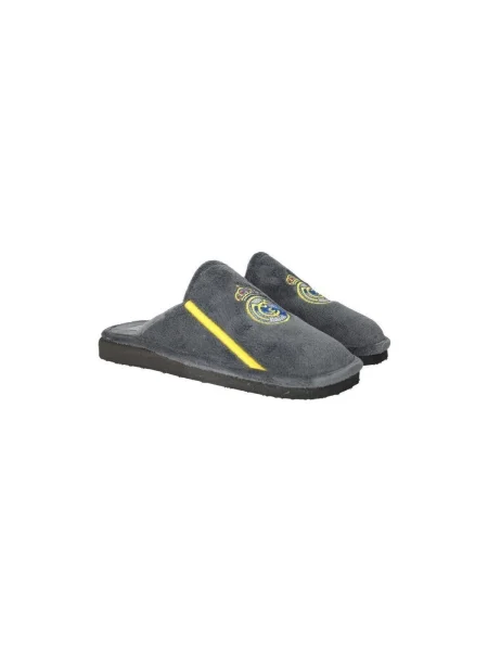 Pantofi Andinas gri