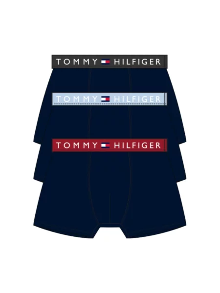 Majtki Tommy Hilfiger