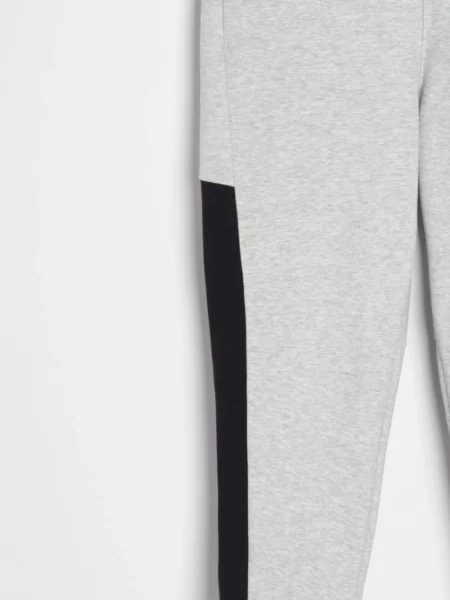 Джогери Active сірий