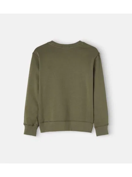 Polo Ralph Lauren Hanorac închis verde