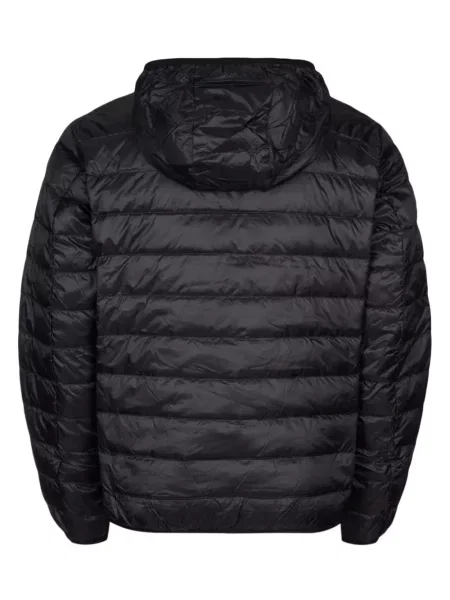 Raštuotas striukė Ea7 Emporio Armani izoliuoti juoda