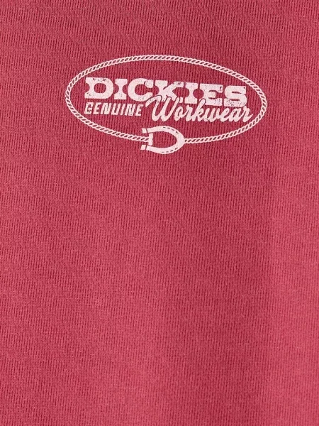 Dickies кофта з капюшоном з бавовною
