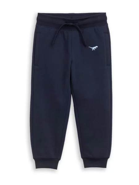 TOM TAILOR Pantaloni marin albastru