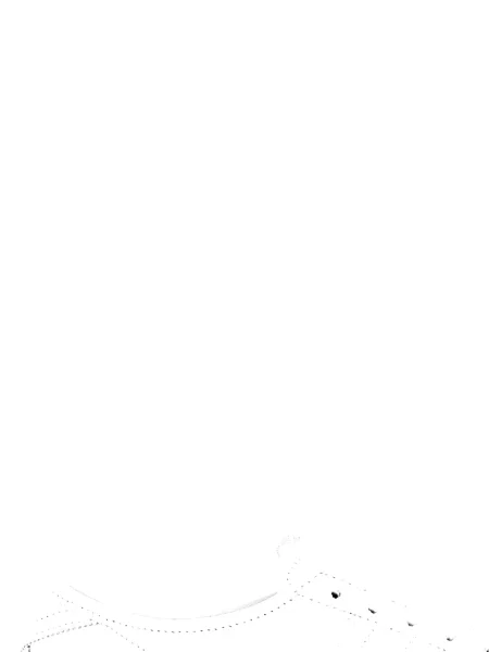 Krótka graficzny koszulka Adidas Campus z perforacją szara