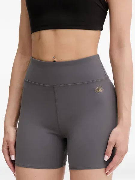 Τρέξιμο σορτς Ea7 Emporio Armani γκρι