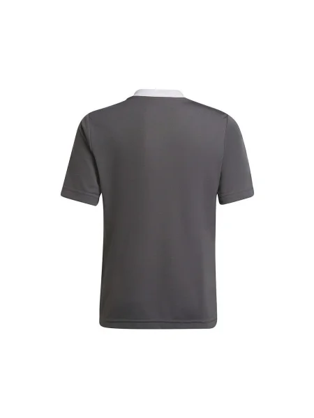 Tričko Adidas sivá