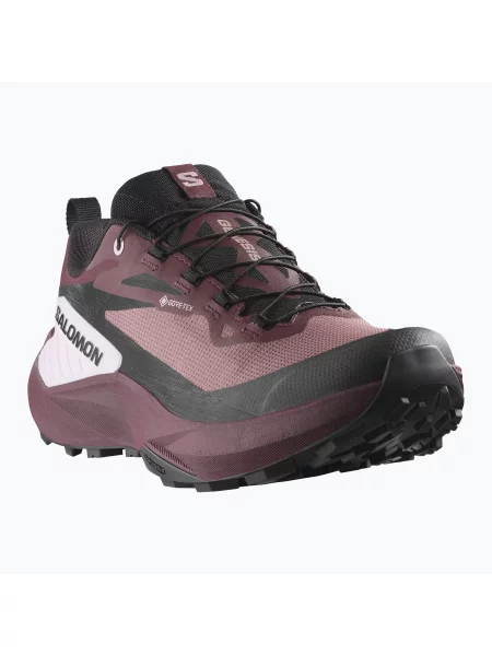Кросівки для бігу Salomon Genesis GTX rose taupe/black orchid/bouquet чорні
