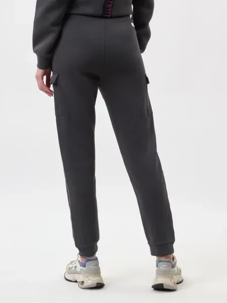 Спортивные штаны Ea7 Emporio Armani серые