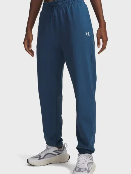 Махрові джогери Under Armour сині