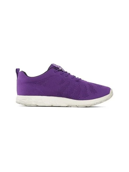 Pantofi Icebug