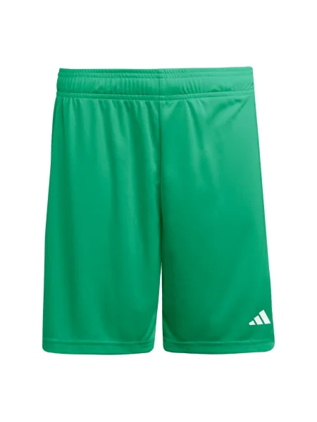 ADIDAS PERFORMANCE Pantaloni sport verde alb