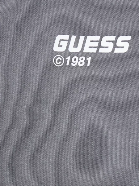 Спортивна кофта Guess сіра