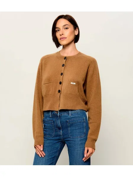 Elisabetta Franchi De lână cardigan | Cropped Fit cu adaos de cașmir maro