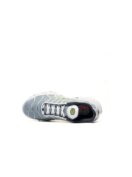 Tenisky Nike Air Max Plus sivá