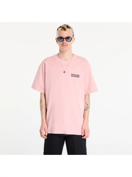 T-shirt Dickies Buchtell Short Sleeve Tee Bridal Rose S różowa