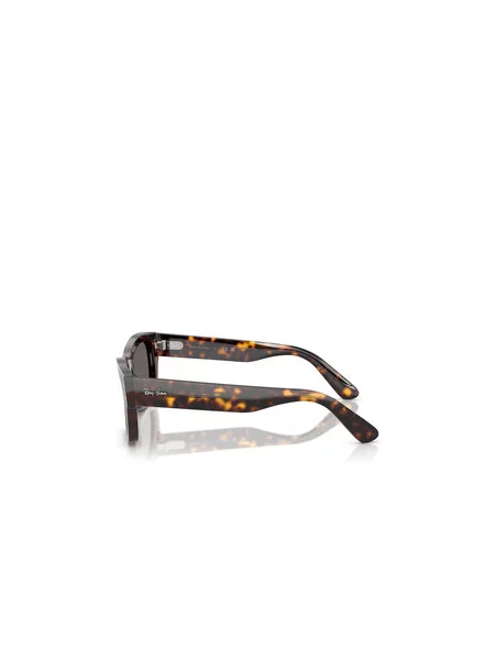 Ray-Ban Sončna očala rjava